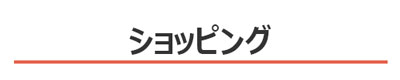 パンション駅南周辺のショッピング